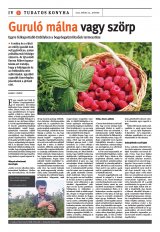 Székelyhon napilap II. évfolyam, 94. szám
