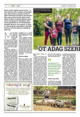 Székelyhon napilap II. évfolyam, 110. szám