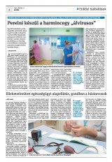Krónika XXII. évfolyam, 113. szám