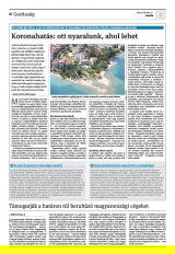 Krónika XXII. évfolyam, 113. szám