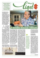 Székelyhon napilap II. évfolyam, 125. szám