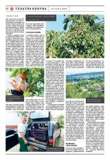 Székelyhon napilap II. évfolyam, 128. szám