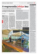 Székelyhon napilap II. évfolyam, 131. szám