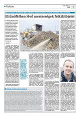 Krónika XXII. évfolyam, 137. szám