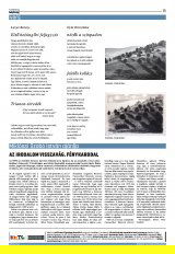 Krónika XXII. évfolyam, 141. szám