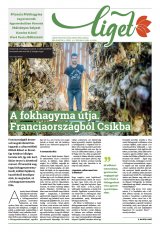 Székelyhon napilap II. évfolyam, 160. szám