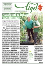 Székelyhon napilap II. évfolyam, 170. szám
