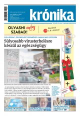 XXII. évfolyam, 196. szám