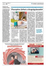 Krónika XXII. évfolyam, 202. szám