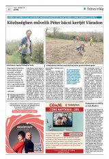 Krónika XXII. évfolyam, 208. szám