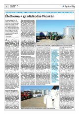Krónika XXII. évfolyam, 209. szám