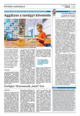 Krónika XXII. évfolyam, 209. szám