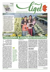 Székelyhon napilap II. évfolyam, 210. szám