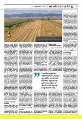 Székelyhon napilap II. évfolyam, 211. szám