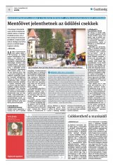 Krónika XXII. évfolyam, 223. szám