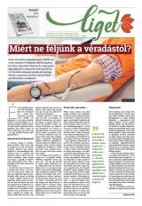 Székelyhon napilap II. évfolyam, 225. szám