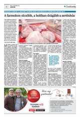 Krónika XXII. évfolyam, 229. szám