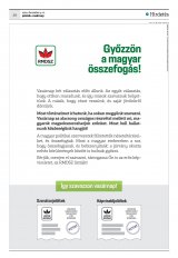 Krónika XXII. évfolyam, 233. szám