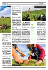 Székelyhon napilap II. évfolyam, 233. szám