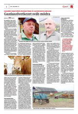 Székelyhon napilap II. évfolyam, 237. szám