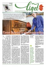 Székelyhon napilap II. évfolyam, 238. szám