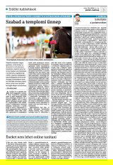 Krónika XXII. évfolyam, 238. szám
