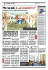 Székelyhon napilap II. évfolyam, 240. szám