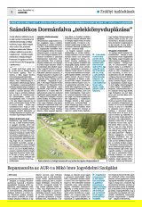 Krónika XXII. évfolyam, 242. szám