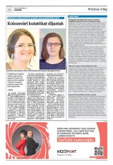 Krónika XXII. évfolyam, 242. szám