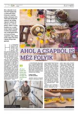 Székelyhon napilap II. évfolyam, 243. szám