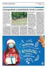 Krónika XXII. évfolyam, 246. szám