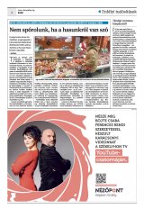 Krónika XXII. évfolyam, 249. szám