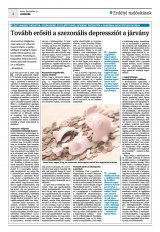 Krónika XXII. évfolyam, 251. szám