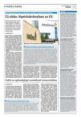 Krónika XXII. évfolyam, 251. szám