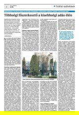 Krónika XXIII. évfolyam, 3. szám