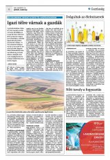 Krónika XXIII. évfolyam, 5. szám