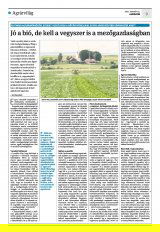 Krónika XXIII. évfolyam, 9. szám