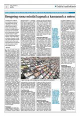 Krónika XXIII. évfolyam, 13. szám