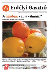 Székelyhon napilap III. évfolyam, 13. szám