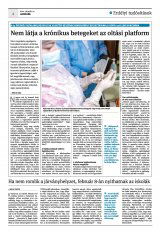Krónika XXIII. évfolyam, 14. szám