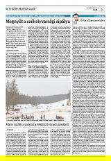 Krónika XXIII. évfolyam, 17. szám