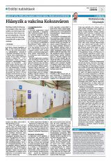 Krónika XXIII. évfolyam, 19. szám