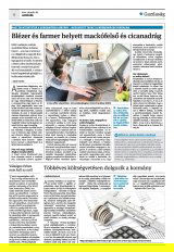 Krónika XXIII. évfolyam, 19. szám