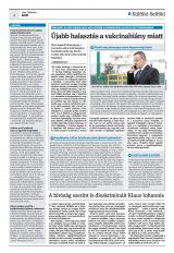 Krónika XXIII. évfolyam, 21. szám