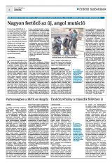 Krónika XXIII. évfolyam, 24. szám