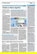 Krónika XXIII. évfolyam, 29. szám