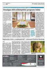 Krónika XXIII. évfolyam, 31. szám