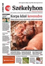 III. évfolyam, 33. szám