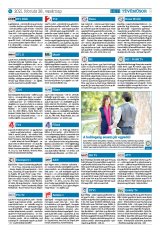 Krónika XXIII. évfolyam, 40. szám