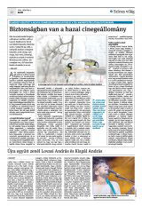 Krónika XXIII. évfolyam, 41. szám